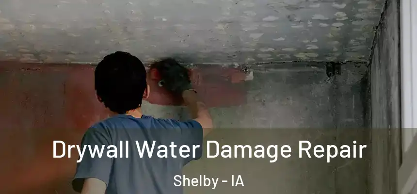  Drywall Water Damage Repair Shelby - IA