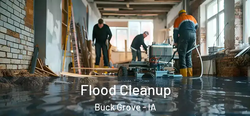 Flood Cleanup Buck Grove - IA
