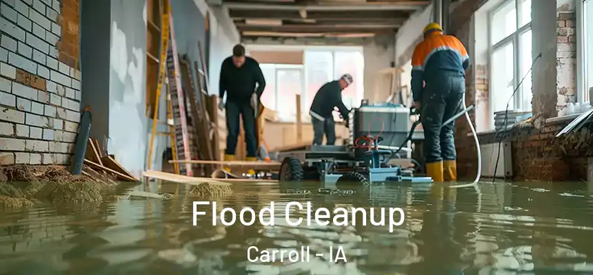  Flood Cleanup Carroll - IA