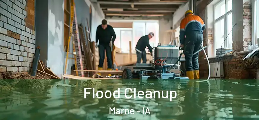  Flood Cleanup Marne - IA