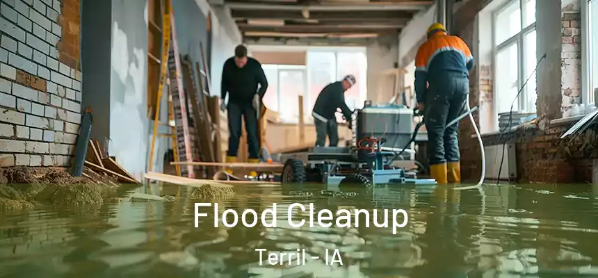  Flood Cleanup Terril - IA