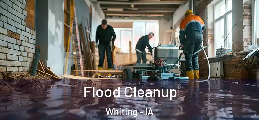 Flood Cleanup Whiting - IA