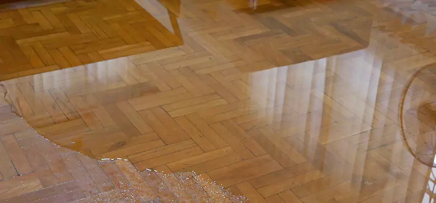 Laminate Wood Floor Water Damage Repair in Shelby