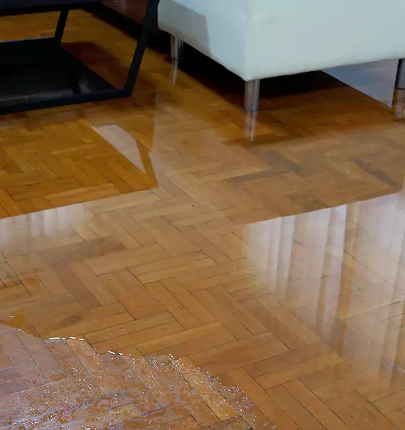 Trusted Emergency Water Restoration Company in Shelby, IA