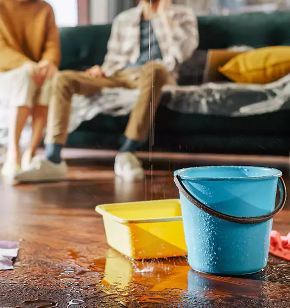 Reliable Water Mitigation Company in Shelby, IA