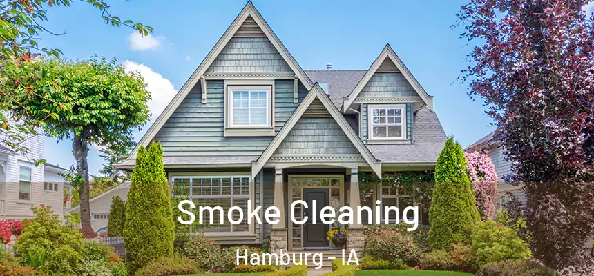  Smoke Cleaning Hamburg - IA