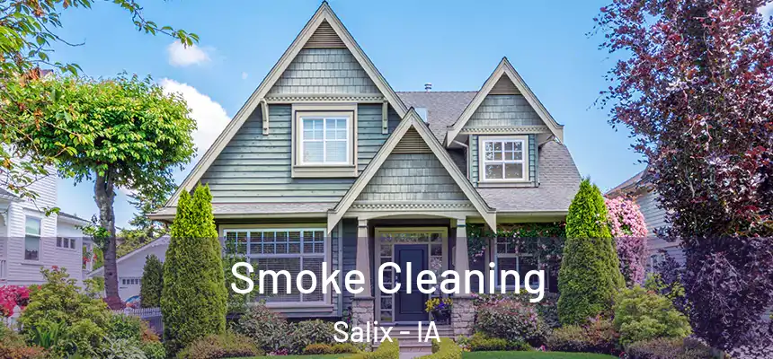  Smoke Cleaning Salix - IA