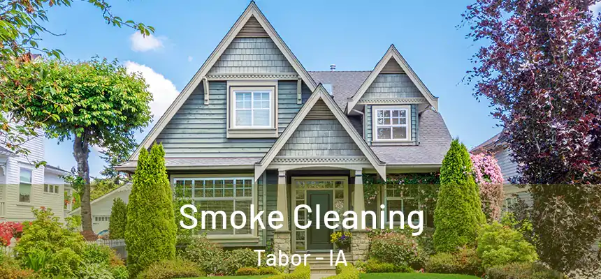  Smoke Cleaning Tabor - IA