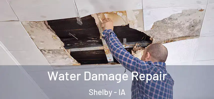  Water Damage Repair Shelby - IA